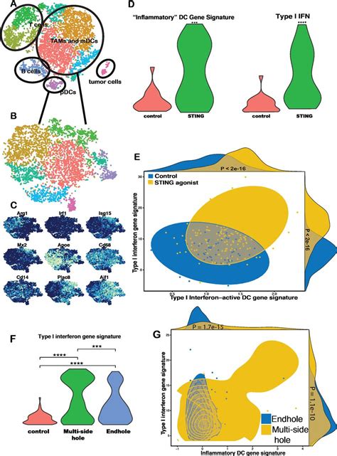 Research Method Injection に対する画像結果