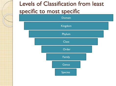 Image result for Classification Levels Template