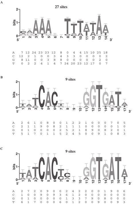 Afbeeldingsresultaten voor ProSite Sequence Logo Color Code
