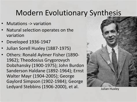 Toradh íomhá ar Mutationism