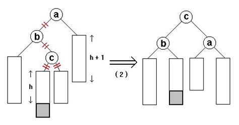 Image result for Balanced Tree Computer Science
