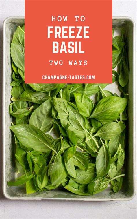 Afbeeldingsresultaten voor How to Preserve Basil