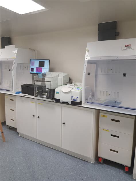 Image result for Clean Lab Space