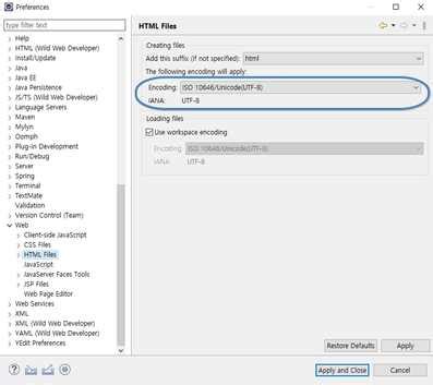 Image result for How Does the HTML File Looks in STS