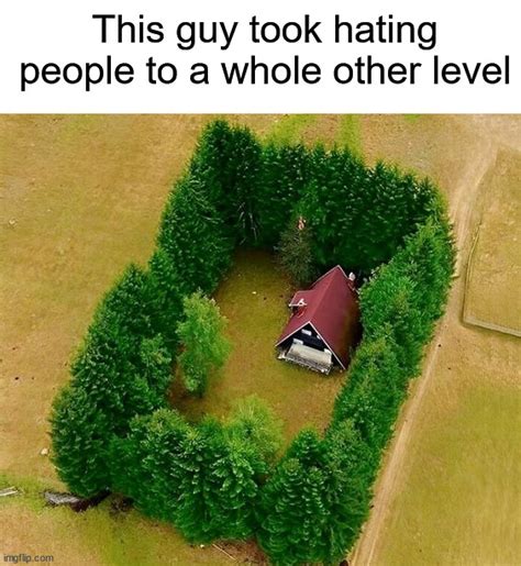 Meme About Hating Visual Clutter に対する画像結果