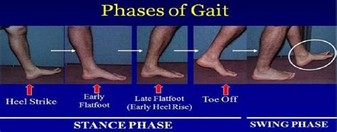 Image result for Gate Cycle Graph