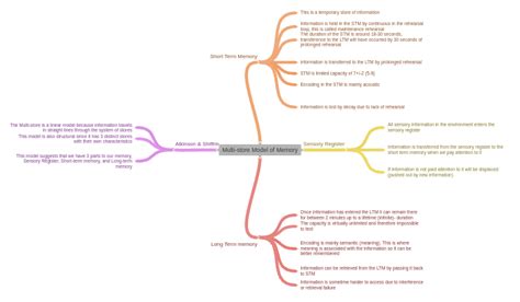 Image result for Multi-Store Model of Memory Visual Diagram