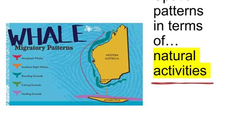 Spatial Patterns World Map に対する画像結果