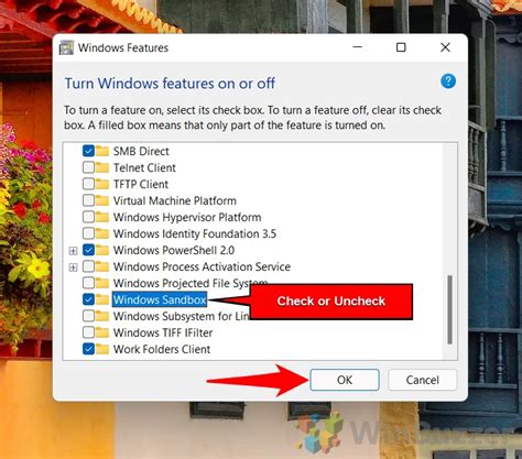 Toradh íomhá ar exe Open-Box Image