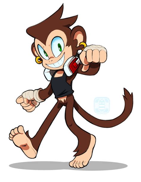 Image result for Sonic Monkey