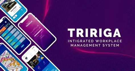 Image result for TRIRIGA Projects