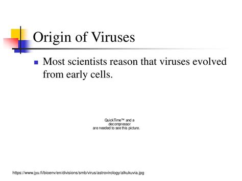 Image result for Origin of Viruses