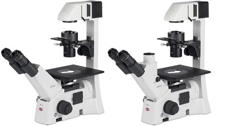 Image result for High Power Field Microscope