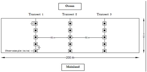 Image result for Line Transect Data Collection