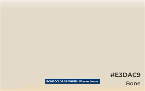 Image result for What Colour Is a Bone