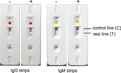 Image result for Test Lab IG BBG