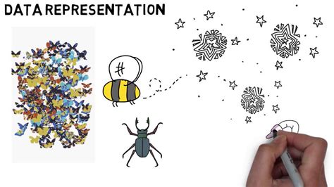 Image result for O Levels Computer Science Data Representation