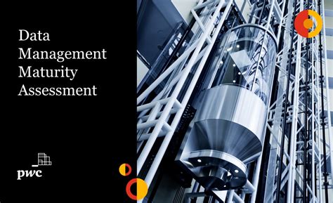 Image result for PWC Data Management Maturity Model