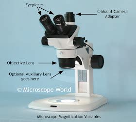 Microscope World Blog: Stereo Microscope Magnification