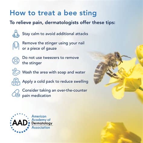 Image result for How to Remove a Bee Stinger