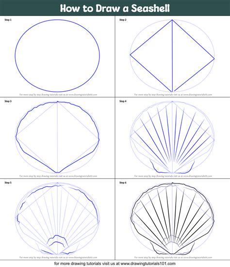 Seashell Drawing に対する画像結果