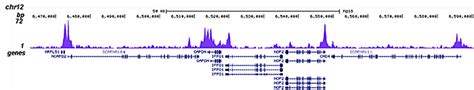 ChIP-seq HDAC1 に対する画像結果