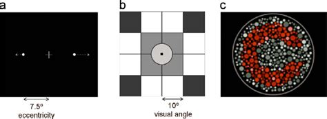 Image result for Complex Visual Test