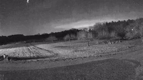 Afbeeldingsresultaten voor Streaking Man Logo