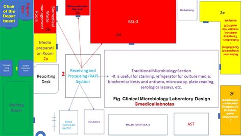 Clinical Microbiology Laboratory Design: Introduction, Section