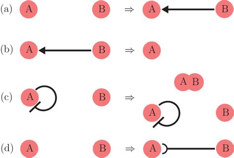 Image result for Evolutionary Steps