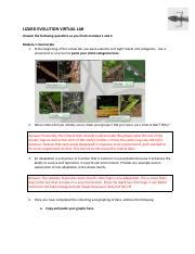 Image result for Lizard Evolution Virtual Lab PDF