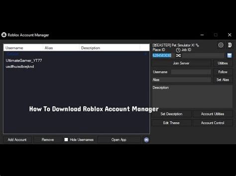 Image result for How to Work Roblox Account Manager