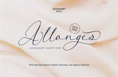 Afbeeldingsresultaten voor Long Script Font