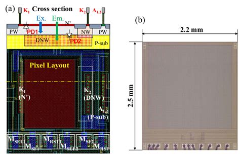 Array of Prism On CMOS Sensor に対する画像結果