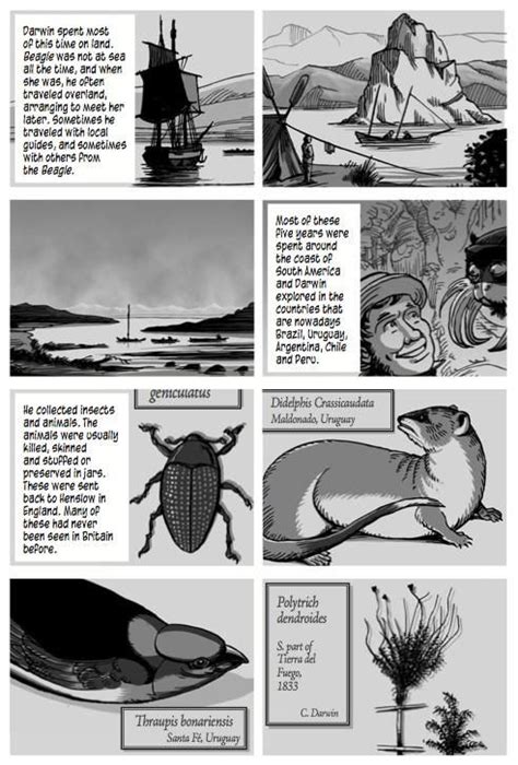 Image result for Charles Darwin Animated