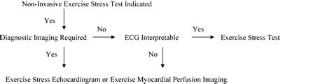 Cardiac Stress Test Algorithm に対する画像結果