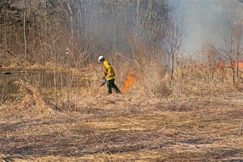 Image result for Controlled Burn Equipment