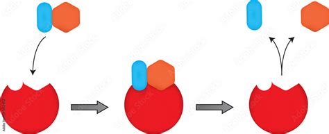 Image result for Key Lock Mechanism