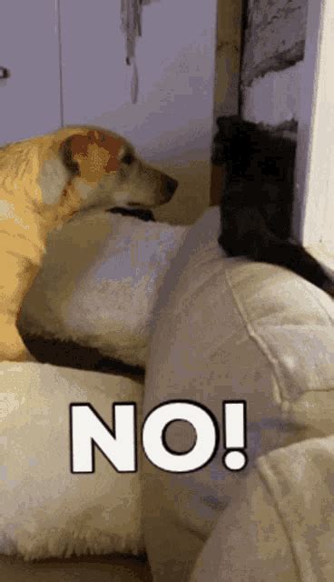 Image result for No Cheating PNG