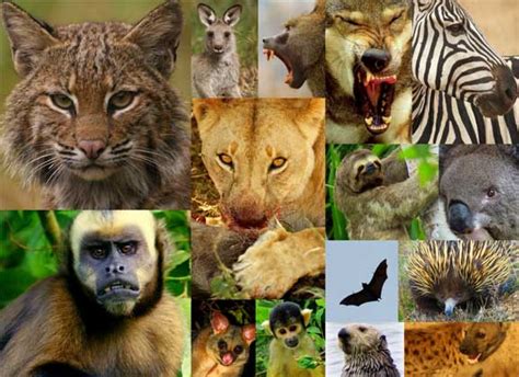 Image result for Wild and Out of Control Meme