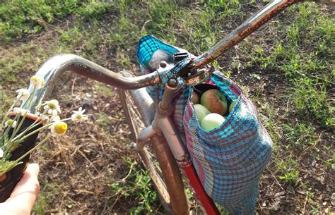 Toradh íomhá ar Google Mensen