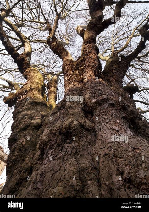 Image result for Lumpy Money