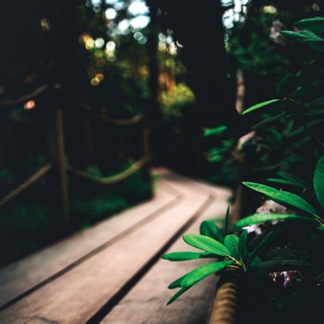 Image result for Depth Perception Problems