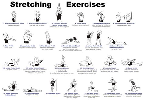 Image result for Stretch for Flexibility