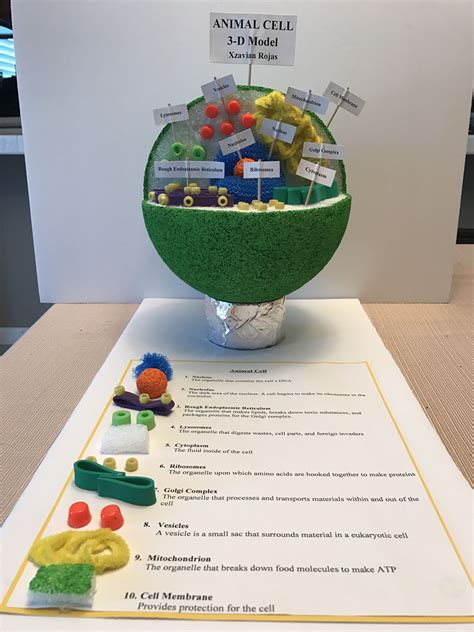 Afbeeldingsresultaten voor Math Project Class 7 Big Model