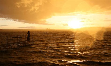 Interconnected Web of String に対する画像結果