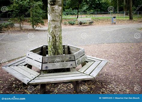 Image result for Bench to Go around Tree