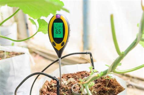 Image result for How to Check and Balance Ph in Soil