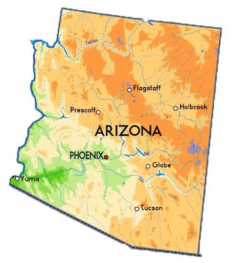 Image result for Arizona Desert Tarantula