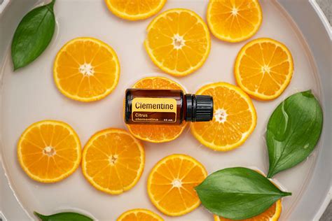 Image result for Essential Grammar in Use Third Edition